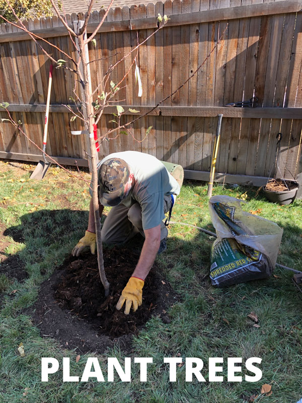 Stump Grinder Rentals Calgary Read More Http Yycequipmentrental Com Product Vermeer Stump Grinder 4 Hour Renta Stump Grinder Commercial Construction Stumped