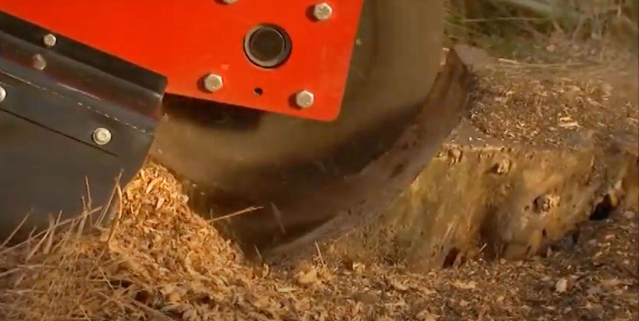 The Fastest Easiest Way To Remove Tree Stumps Bills Equipment